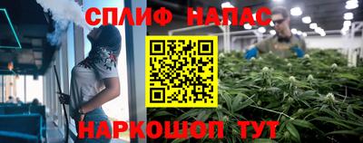 apvp Краснознаменск