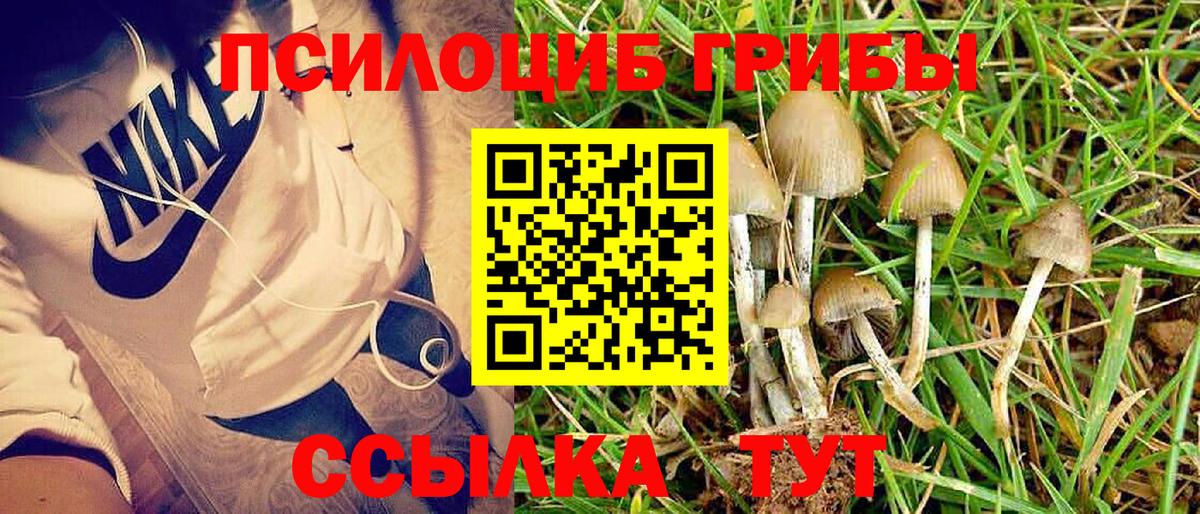 Арзамас  Галлюциногенные грибы Psilocybine cubensis  Вход с VPN 